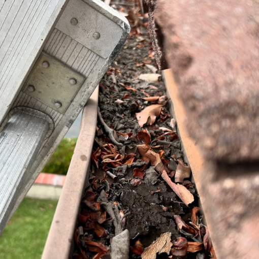 Gutter Cleaning Orange County, CA
